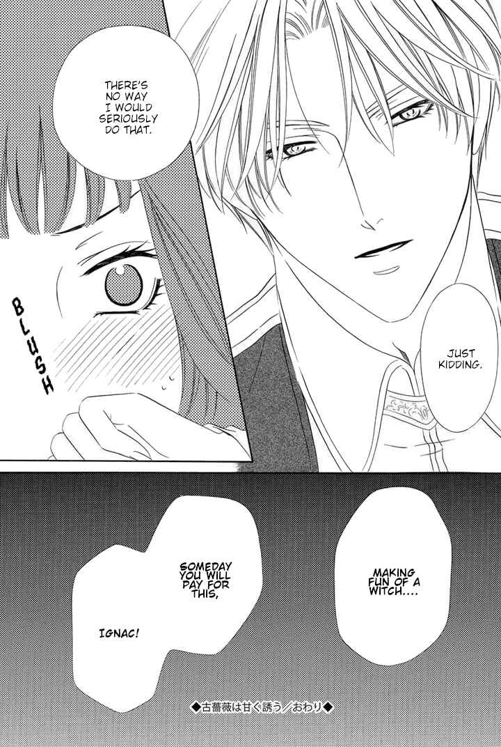 Page 11 Chapter 2.5 Majo to Kiketsu no Kishi