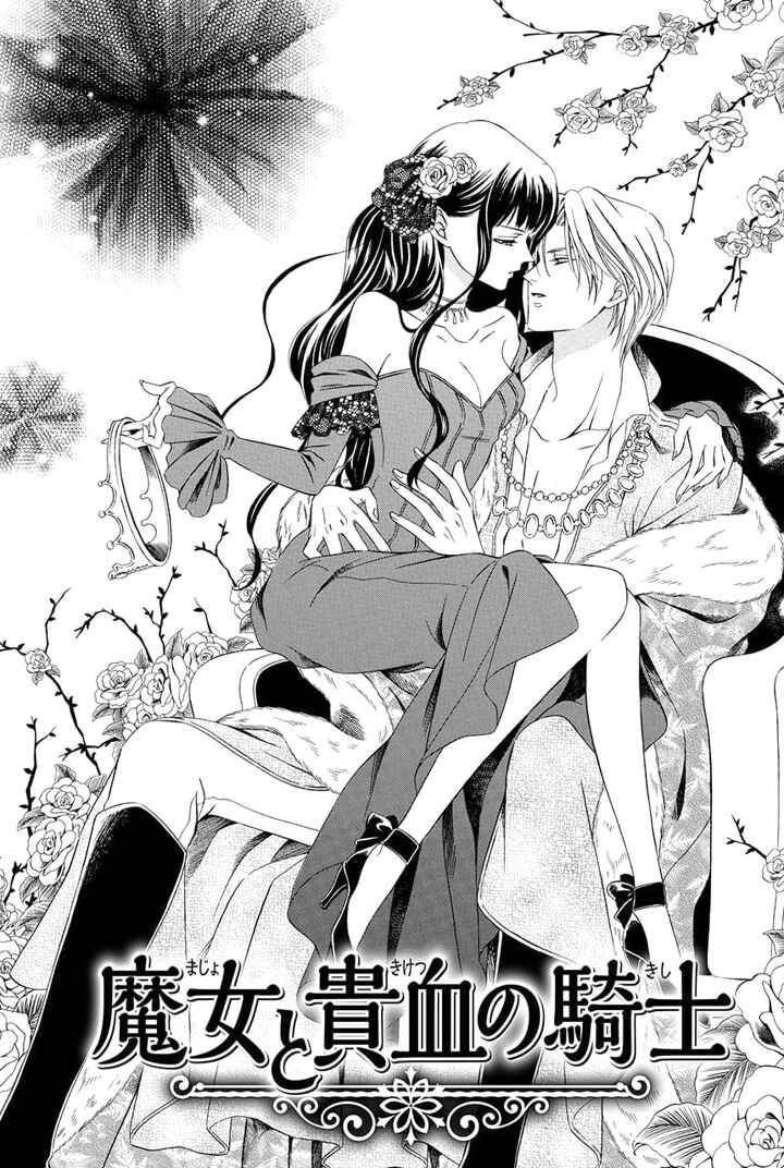 Page 5 Chapter 13 Majo to Kiketsu no Kishi