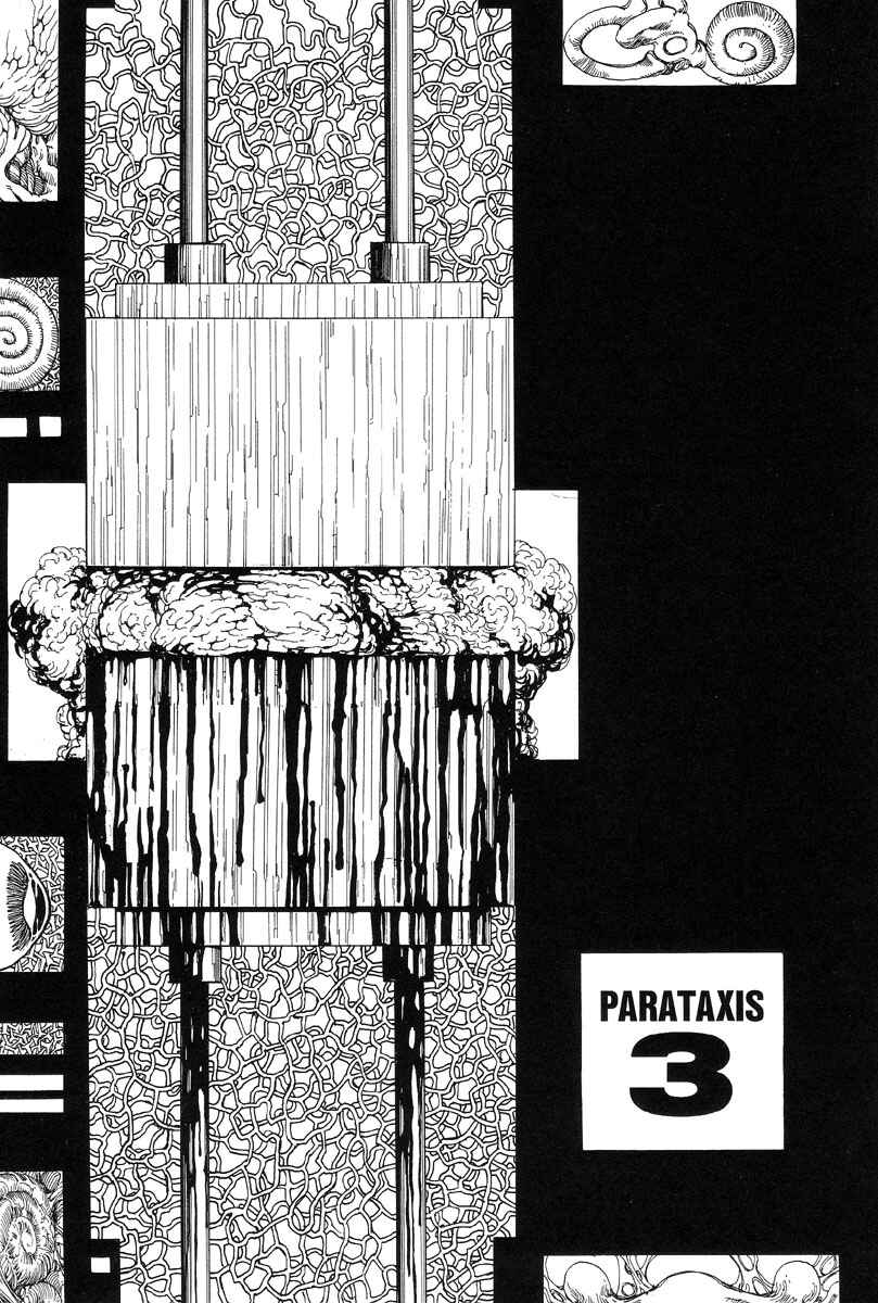 Page 1 Chapter 3 Super-Conductive Brains: Parataxis