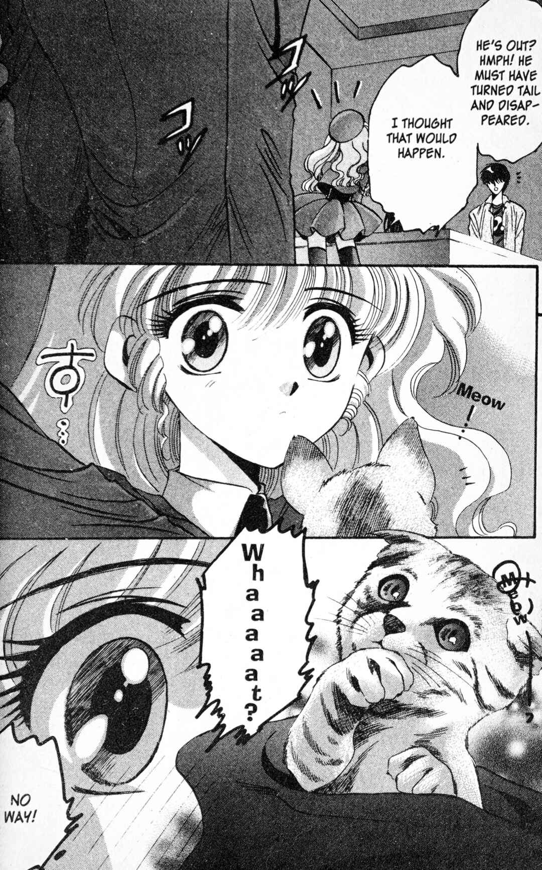 Page 12 Chapter 5 Secret Chaser