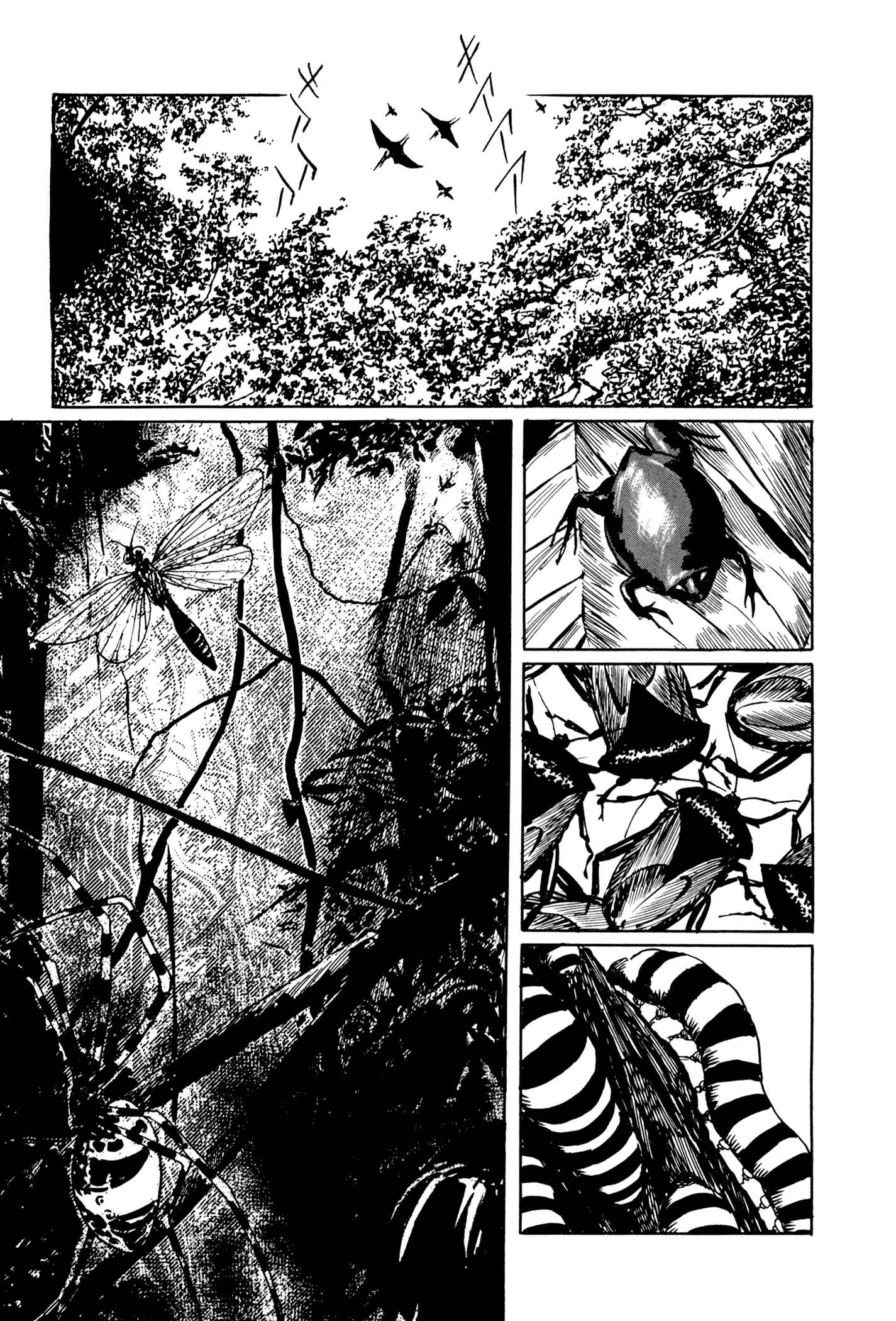 Page 7 Chapter 9 The Blue Hole