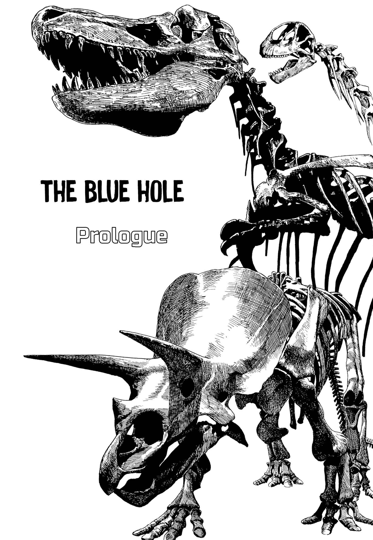 Page 5 Chapter 0 The Blue Hole