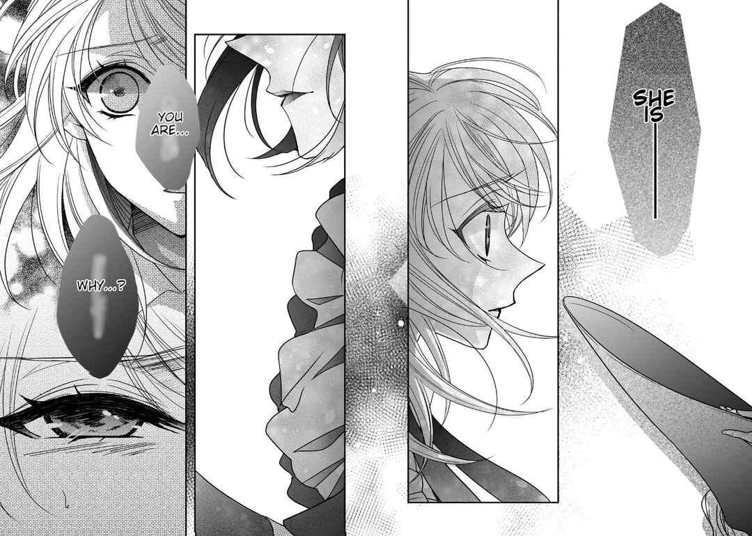 Page 11 Chapter 33.2 Haikei Kouri no Kishi to Hazere-Hime Datta Watashitachi e