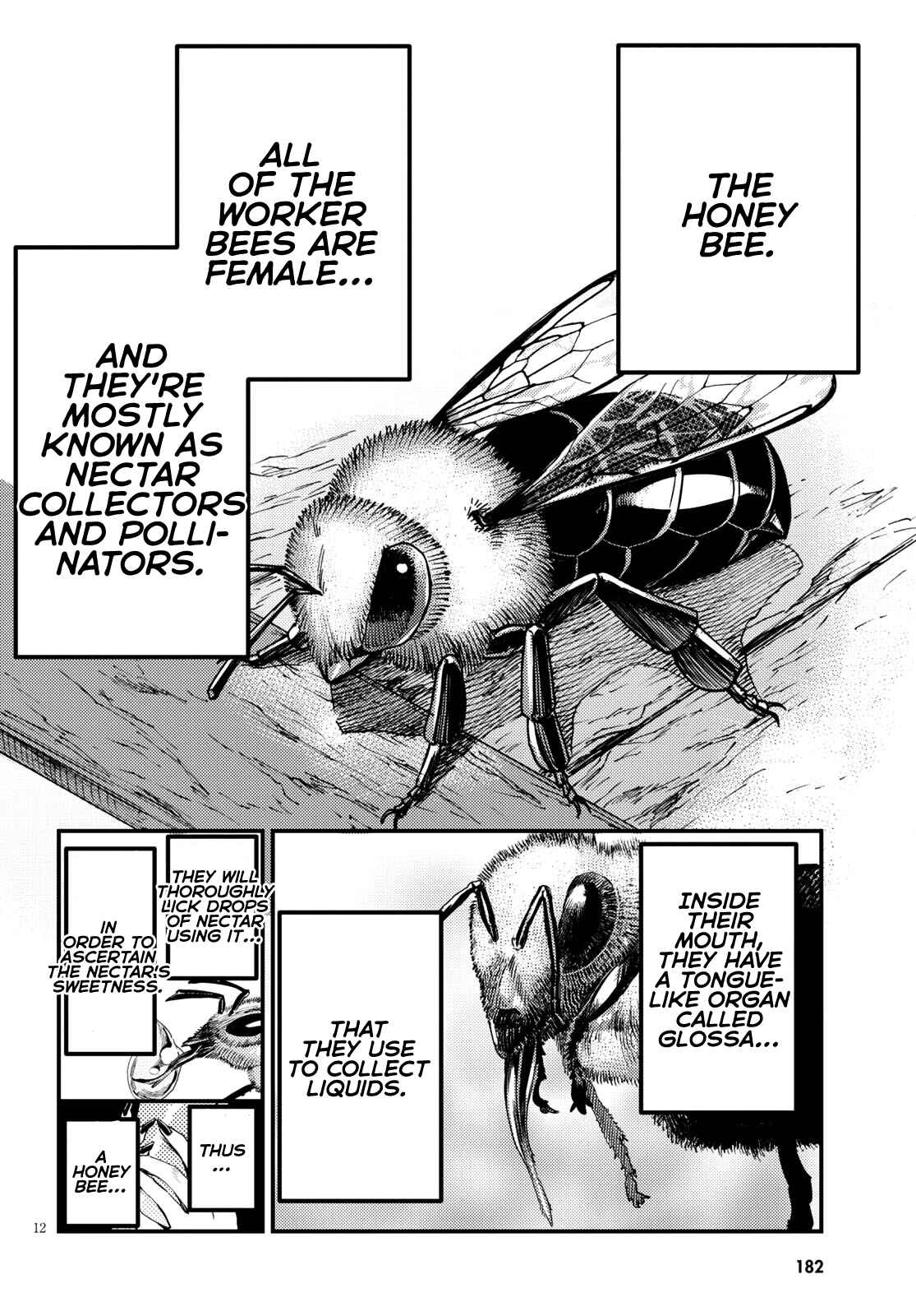 Page 11 Chapter 6 Konchuki