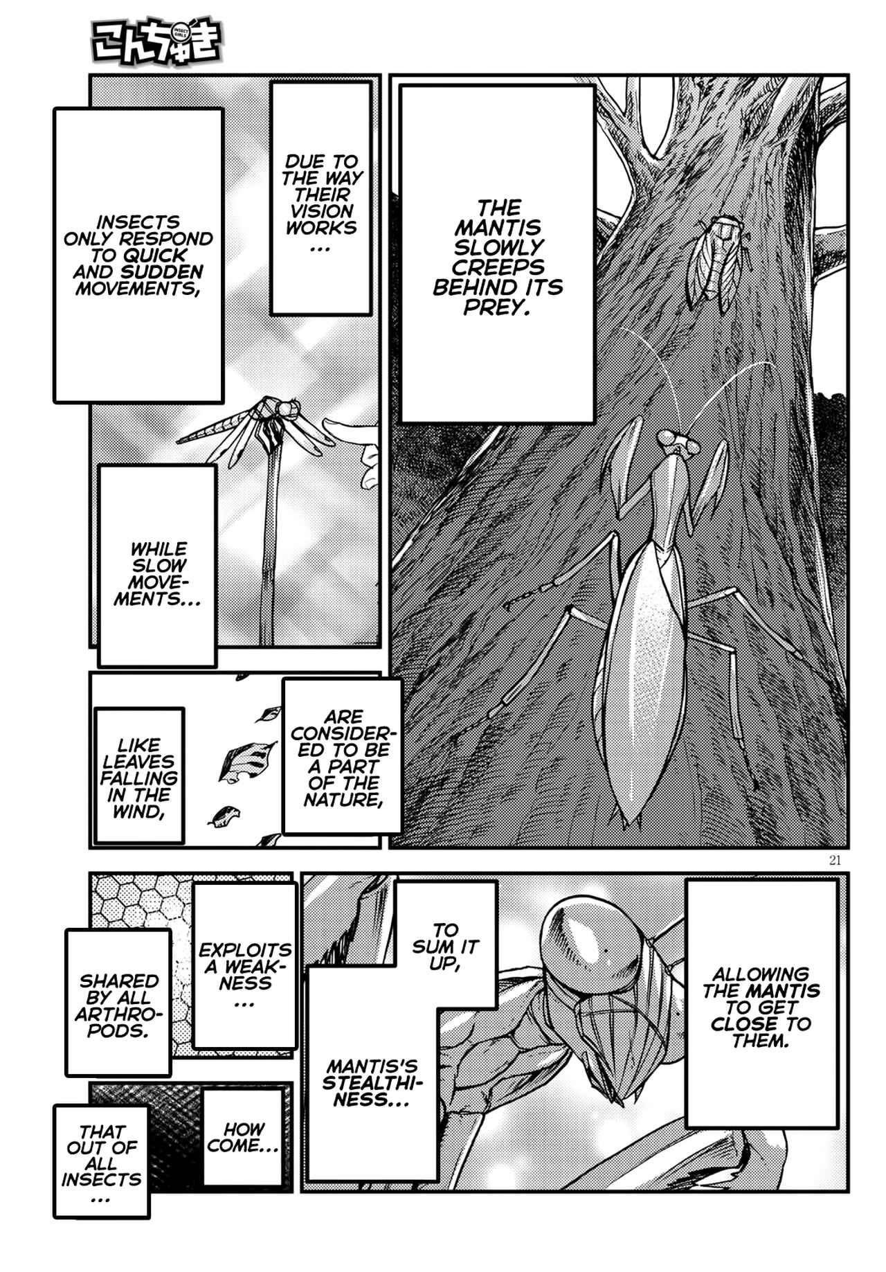 Page 19 Chapter 4 Konchuki