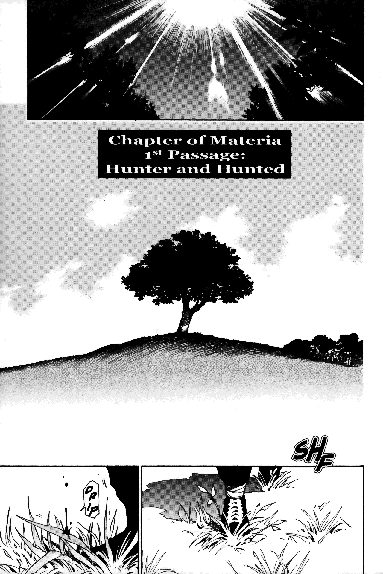 Page 1 Chapter 11 Testarotho