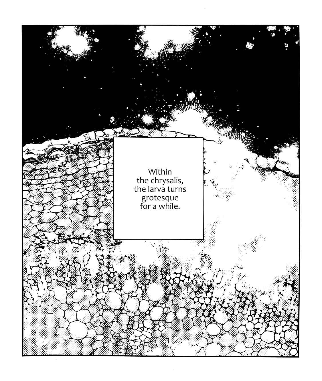 Page 2 Chapter 39.9 Given