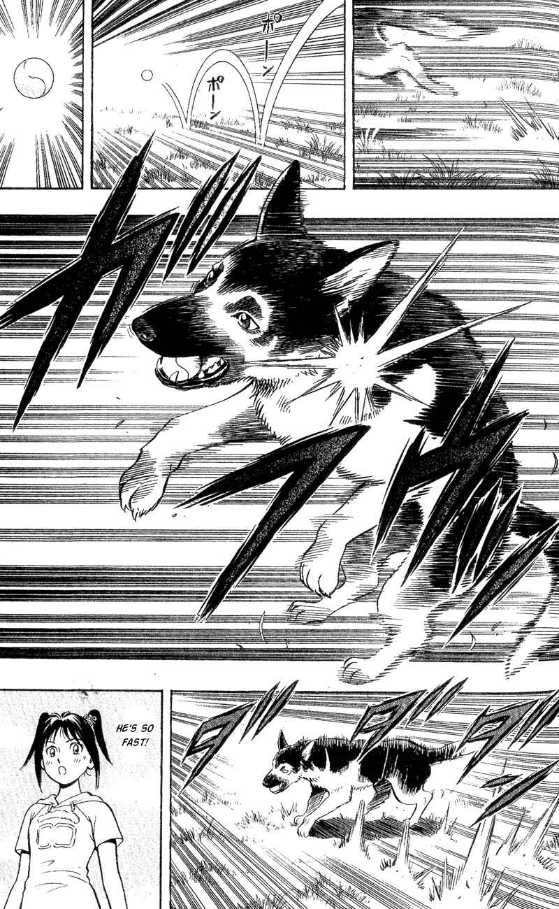 Page 34 Chapter 3 A.S. Animal Sense