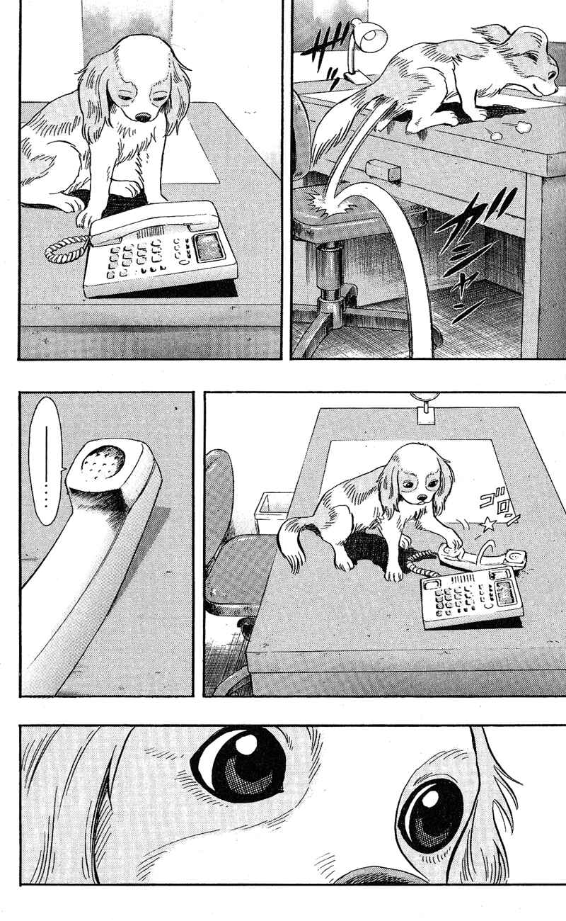 Page 17 Chapter 7 A.S. Animal Sense