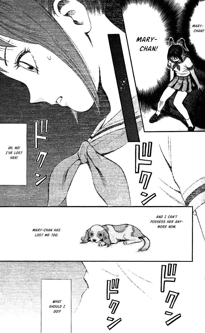 Page 27 Chapter 7 A.S. Animal Sense