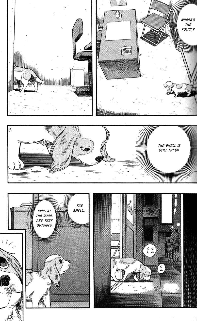 Page 7 Chapter 7 A.S. Animal Sense