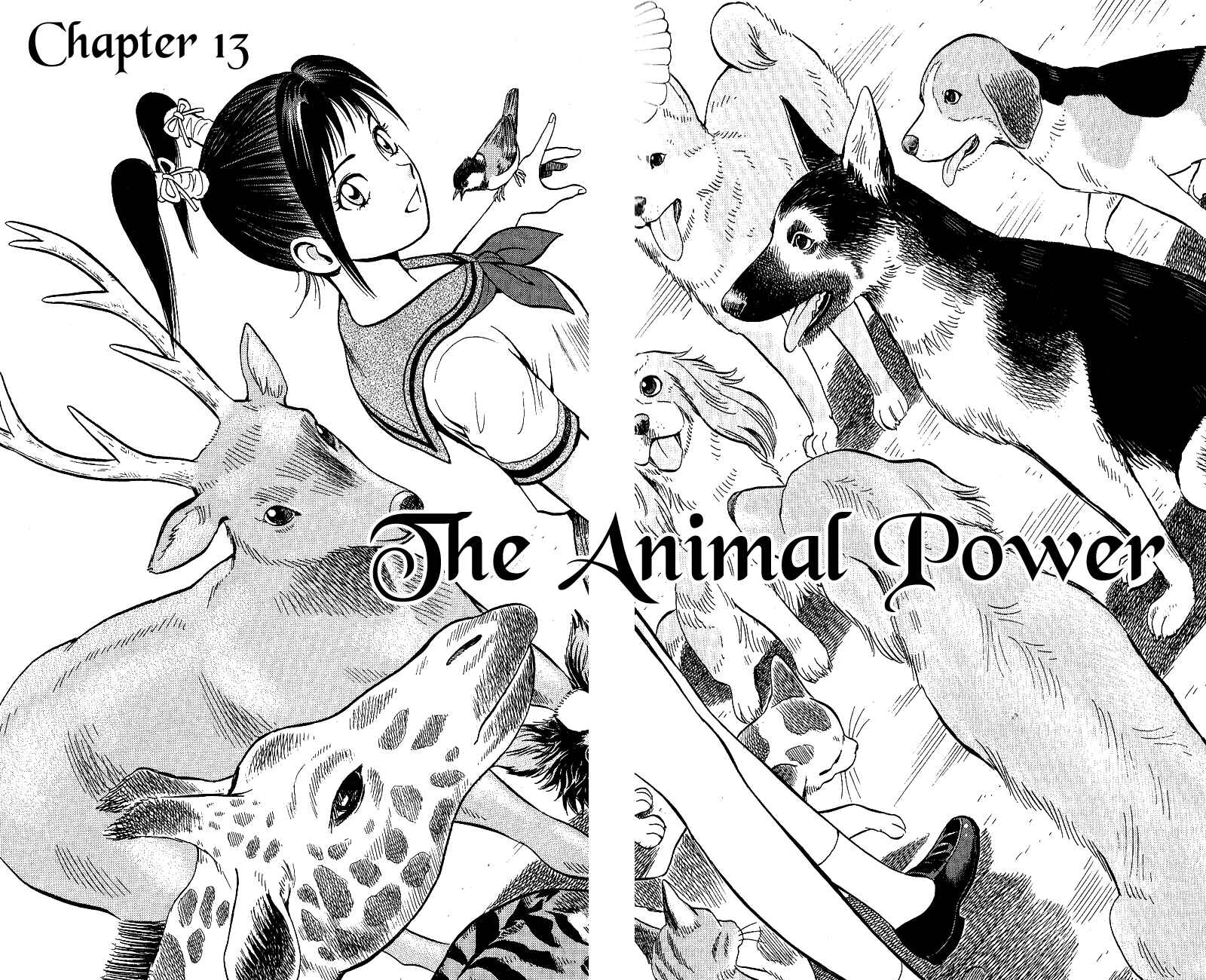 Page 2 Chapter 13 A.S. Animal Sense