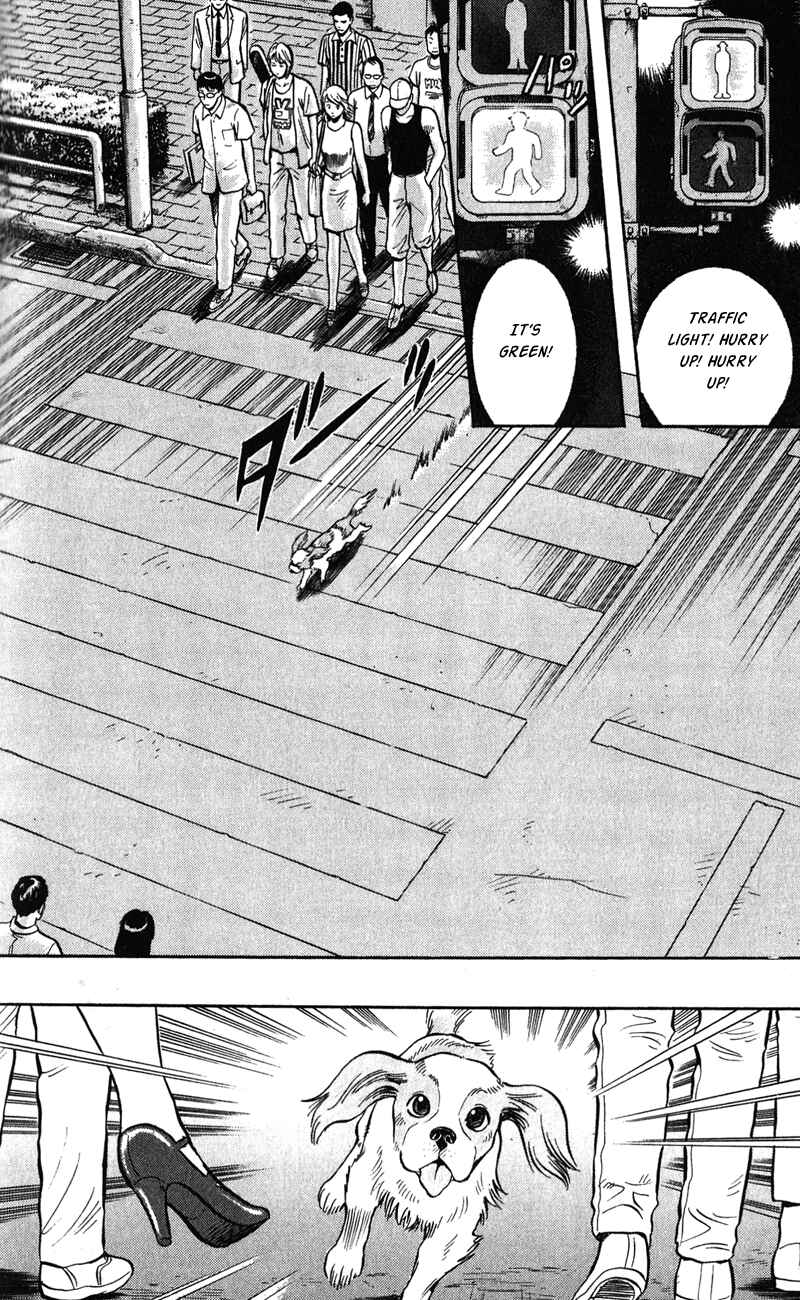 Page 37 Chapter 6 A.S. Animal Sense