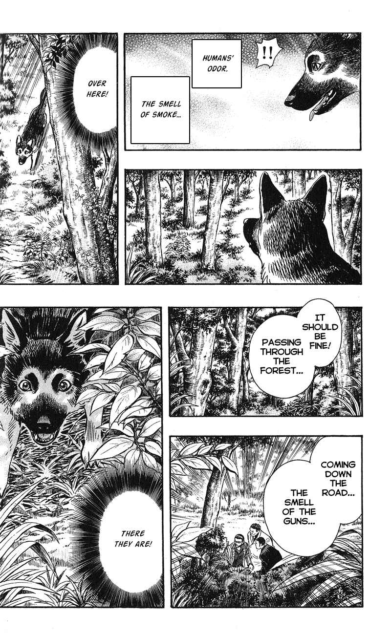 Page 22 Chapter 12 A.S. Animal Sense