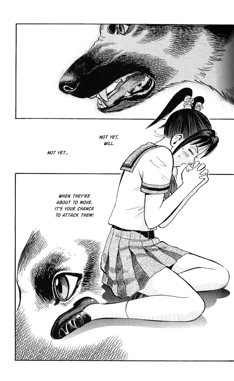 Page 25 Chapter 12 A.S. Animal Sense