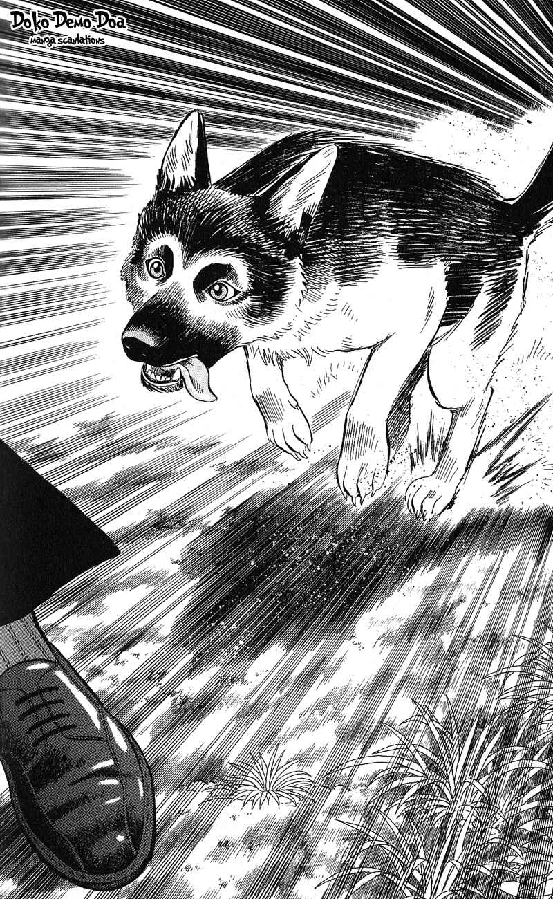 Page 28 Chapter 12 A.S. Animal Sense