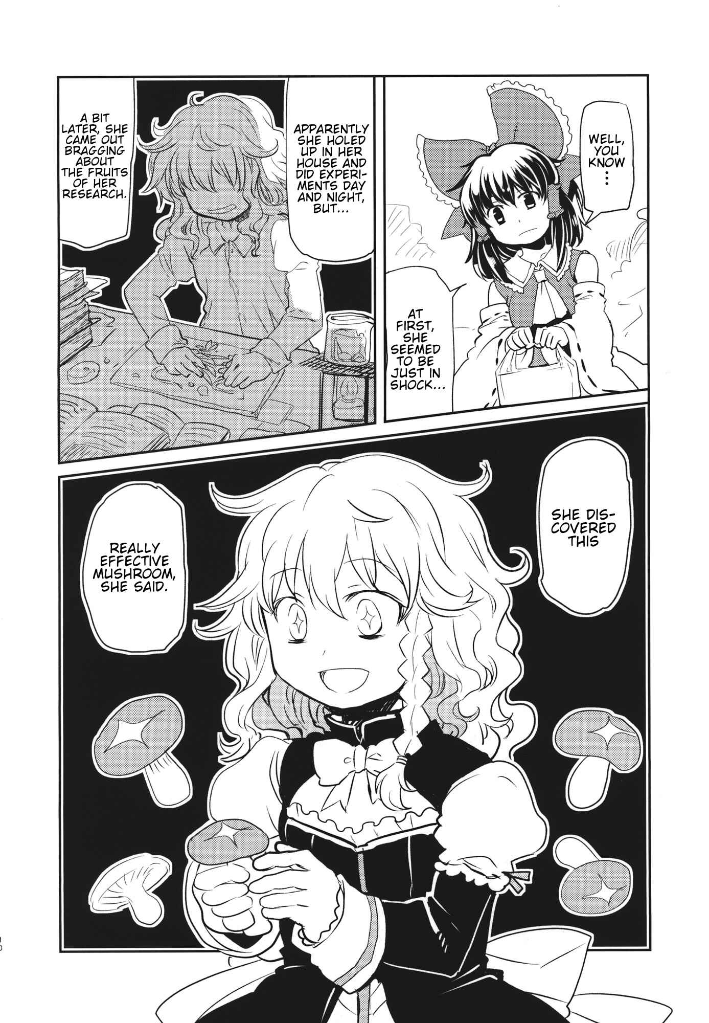 Page 9 Chapter Unknown_57b6 Touhou - The Magician is Ordinary (Doujinshi)