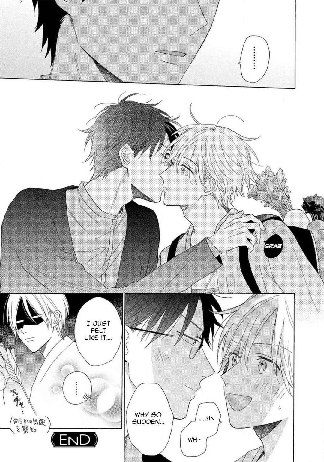 Page 12 Chapter 4.5 Yome wa Hakoiri Musuko