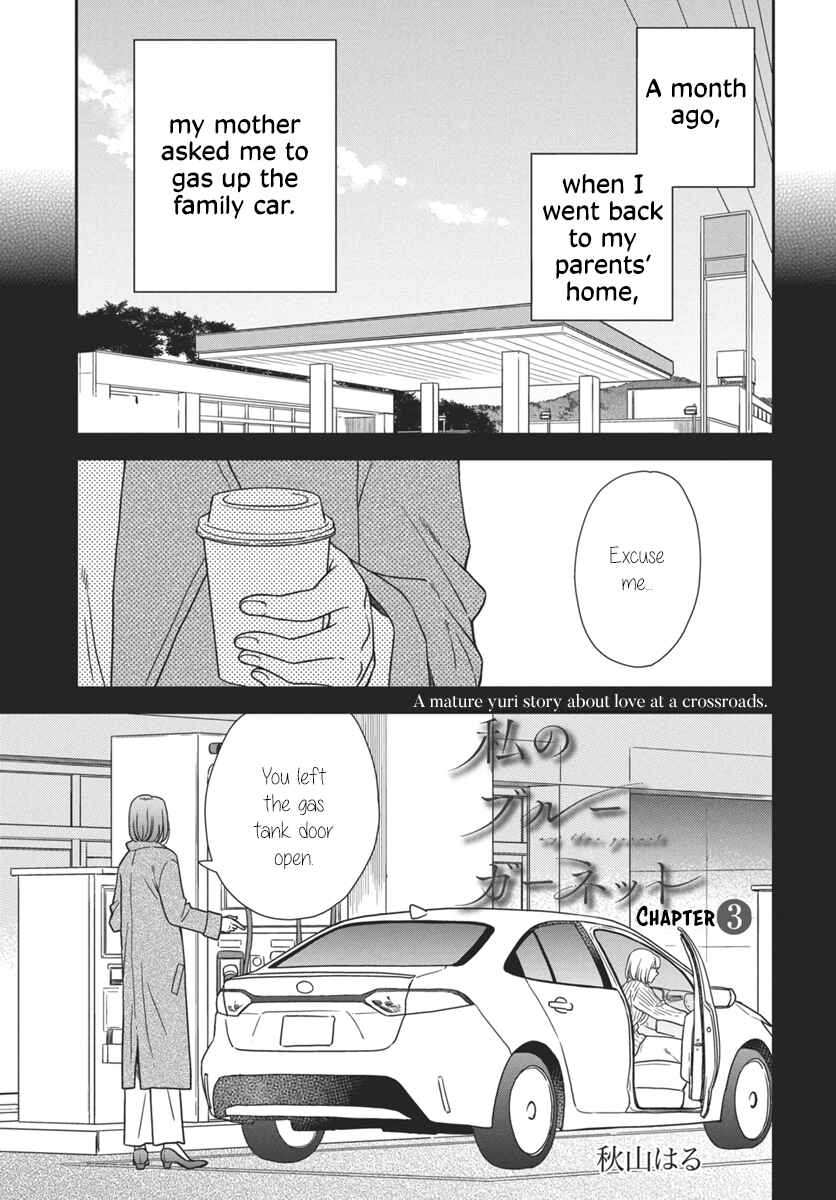 Page 2 Chapter 3 My Blue Garnet