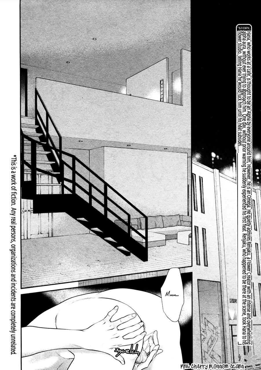 Page 4 Chapter 2 Takane no Hana wa Chirasaretai
