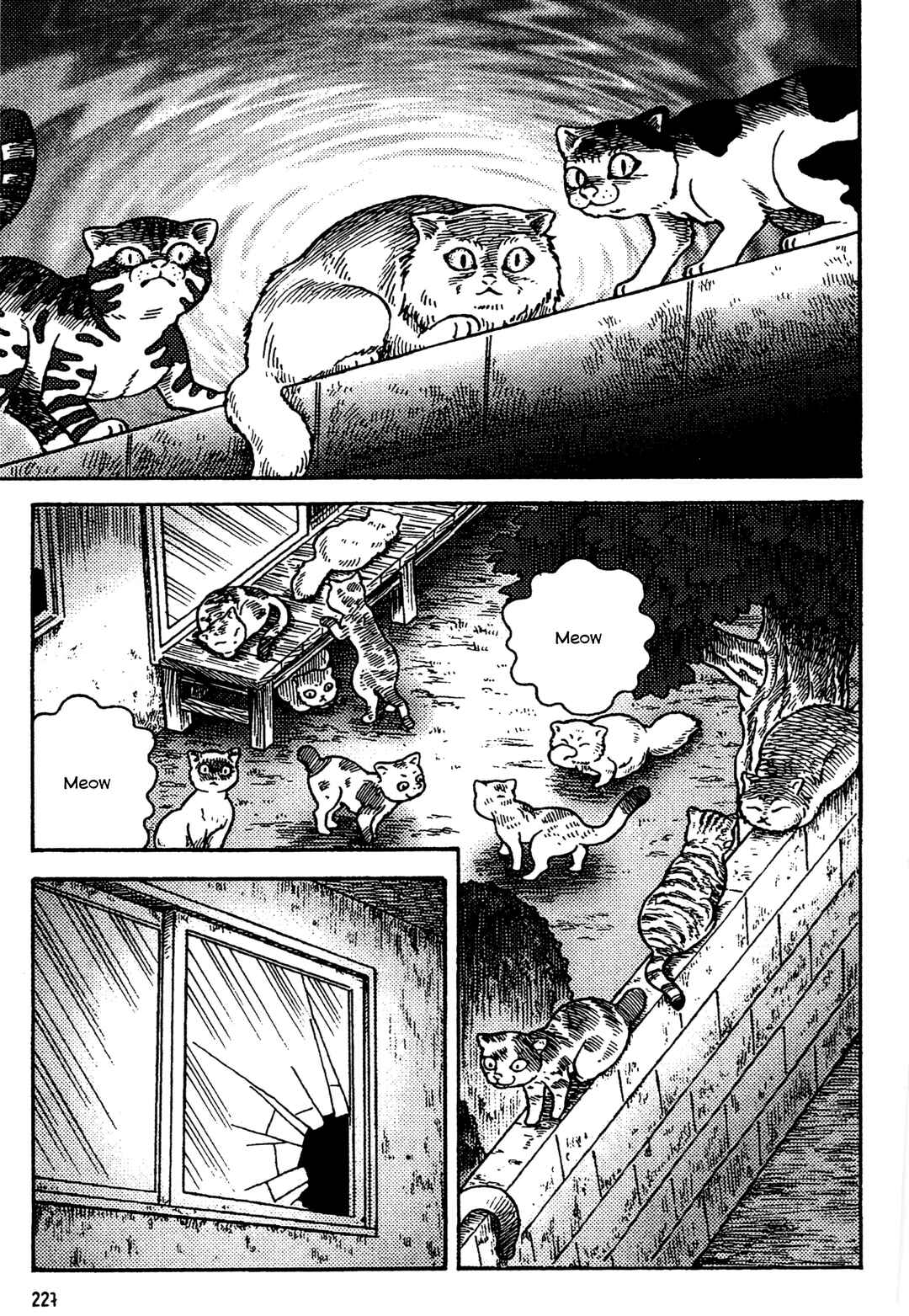 Page 3 Chapter 11 Go Home