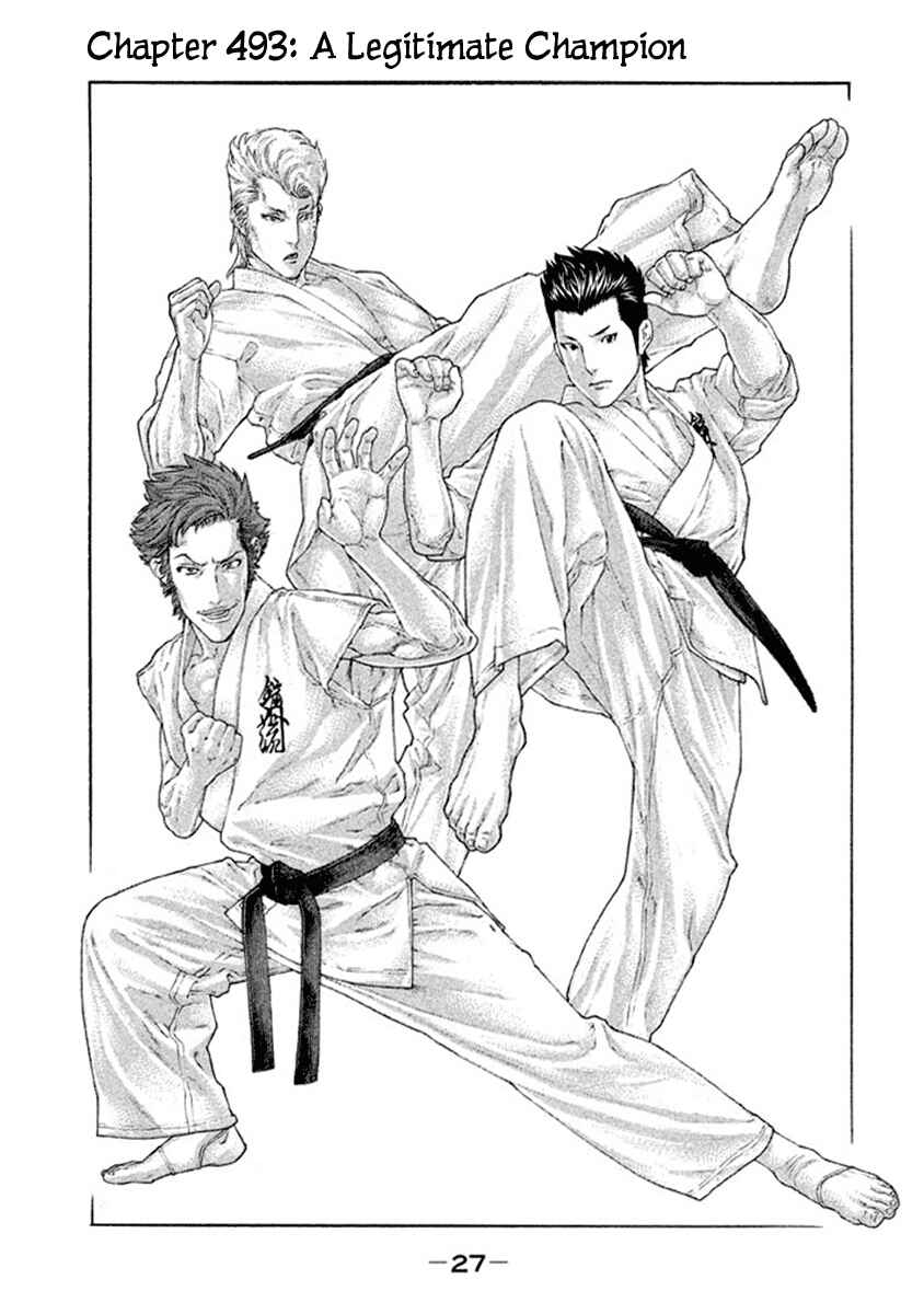 Page 1 Chapter 493 Little Lord of Karate