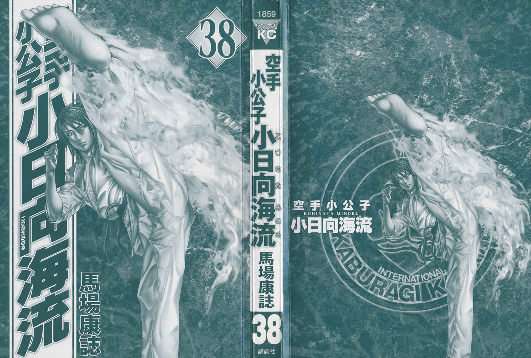 Page 2 Chapter 382 Little Lord of Karate