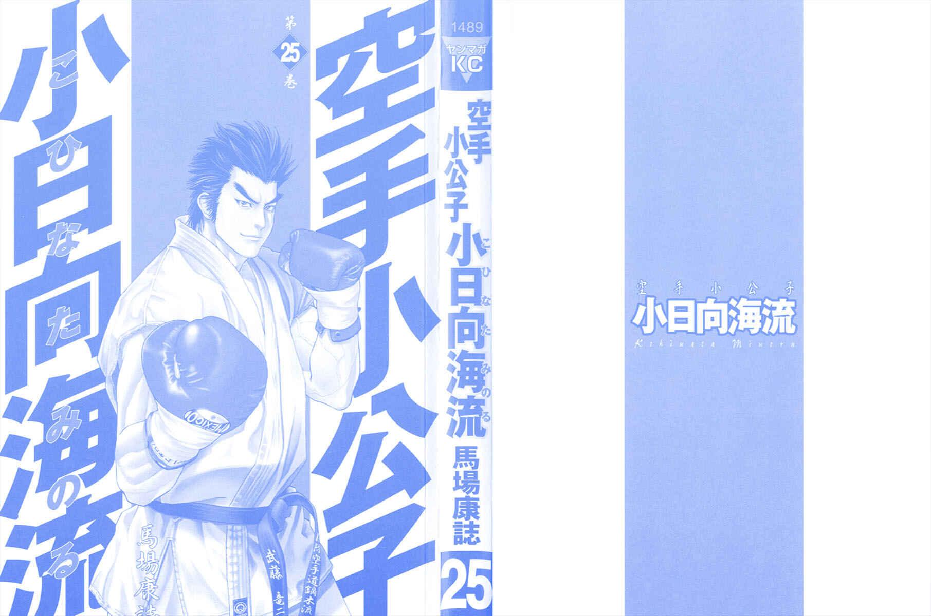 Page 2 Chapter 260 Little Lord of Karate
