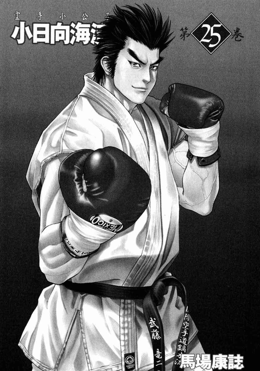 Page 3 Chapter 260 Little Lord of Karate