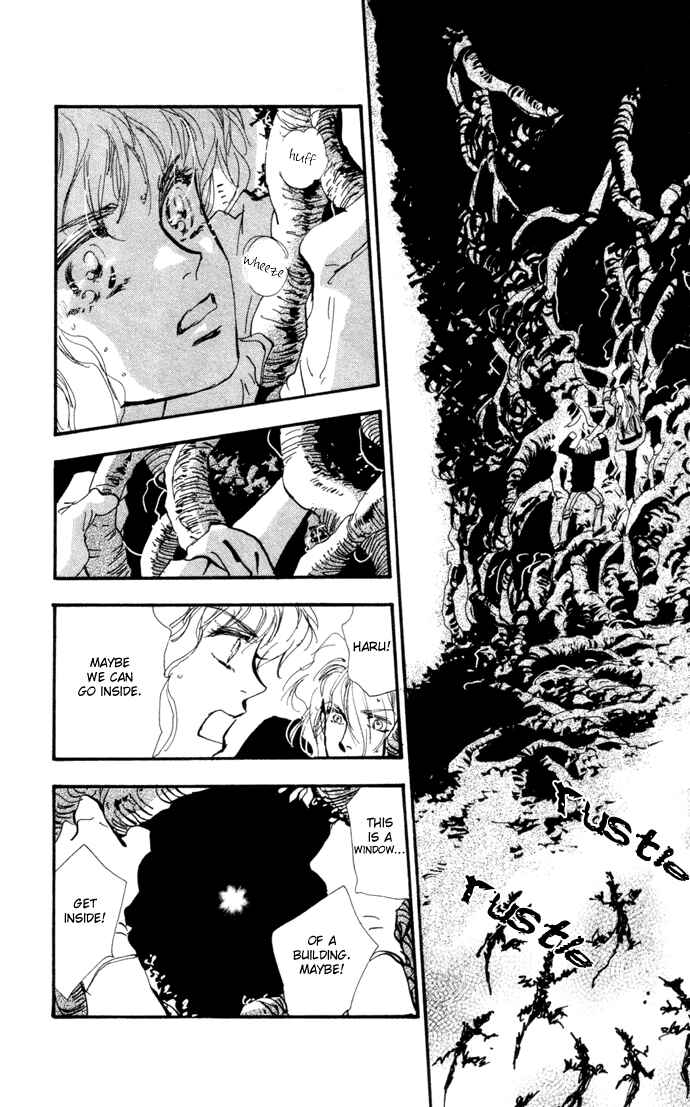 Page 18 Chapter 13 7 Seeds