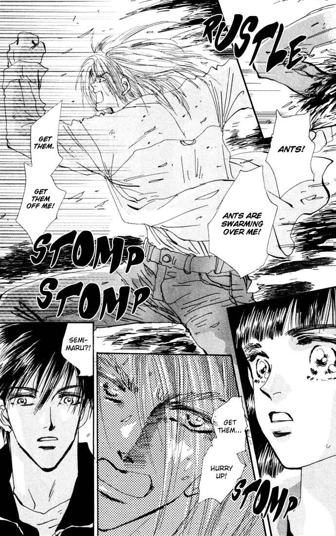 Page 14 Chapter 20 7 Seeds