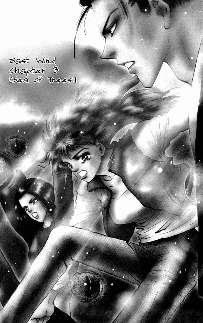Page 4 Chapter 14 7 Seeds