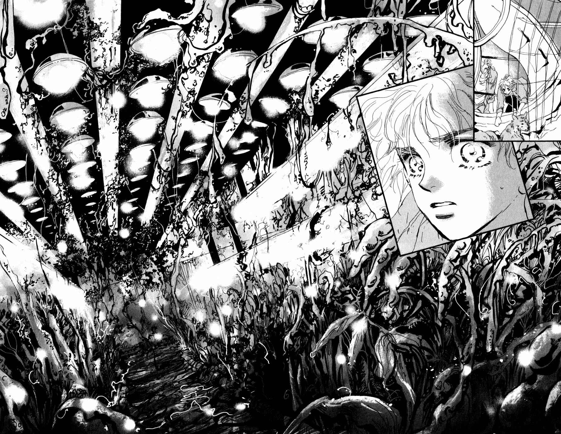 Page 18 Chapter 53 7 Seeds