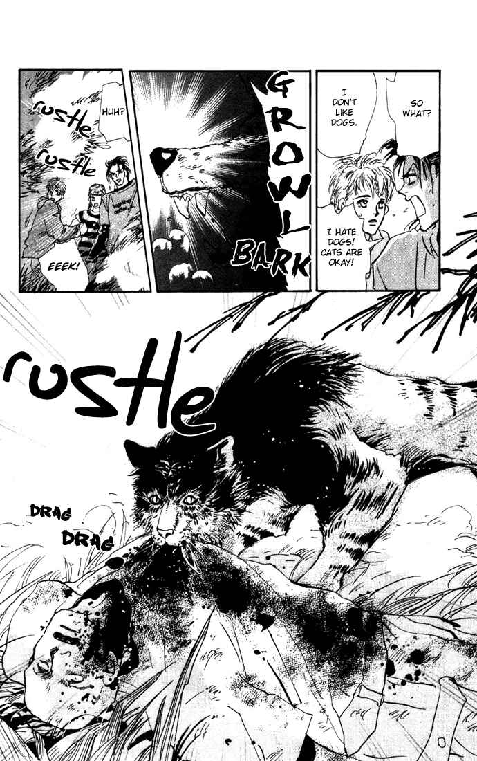 Page 25 Chapter 16 7 Seeds