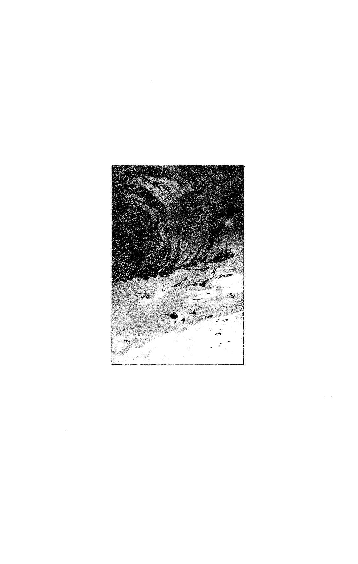 Page 51 Chapter 176 7 Seeds
