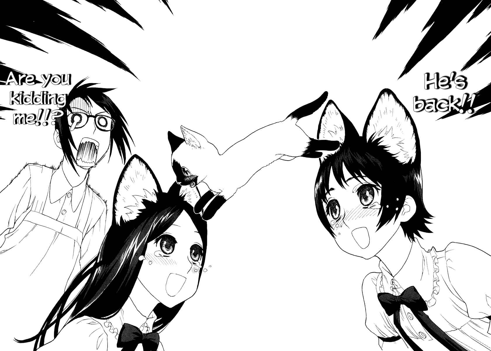 Page 14 Chapter 5 Necossas: Six