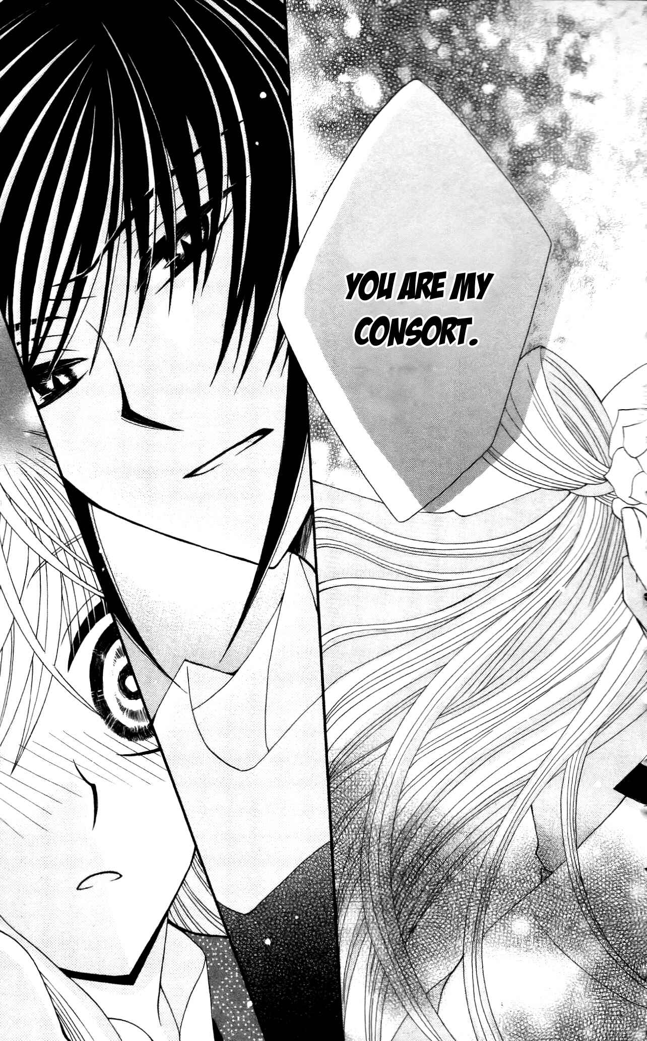 Page 37 Chapter 10 Ookami Heika no Hanayome