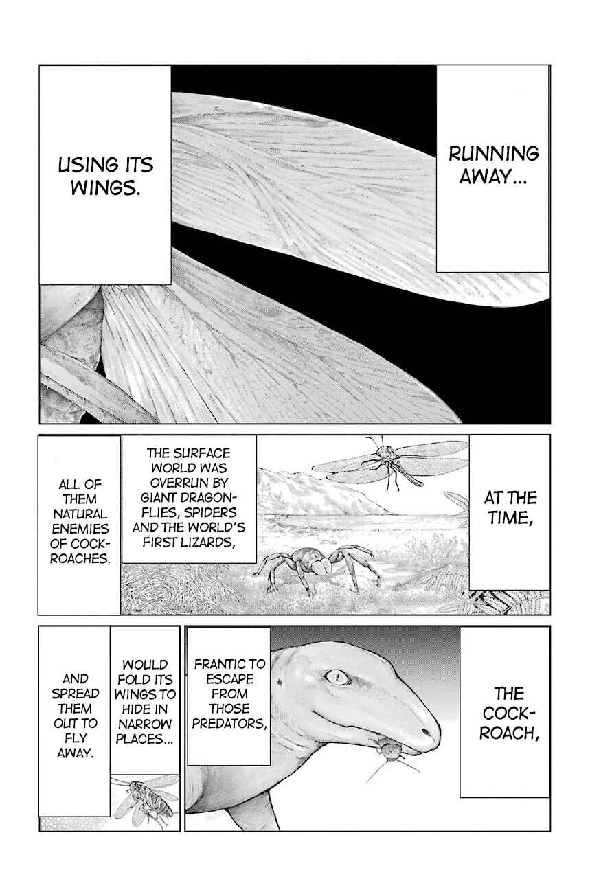 Page 5 Chapter 11.2 Blattodea