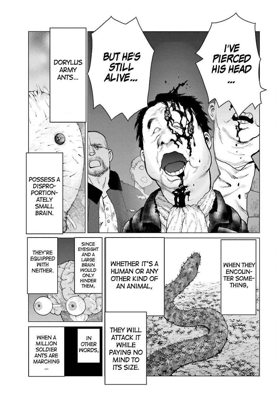 Page 23 Chapter 5 Blattodea