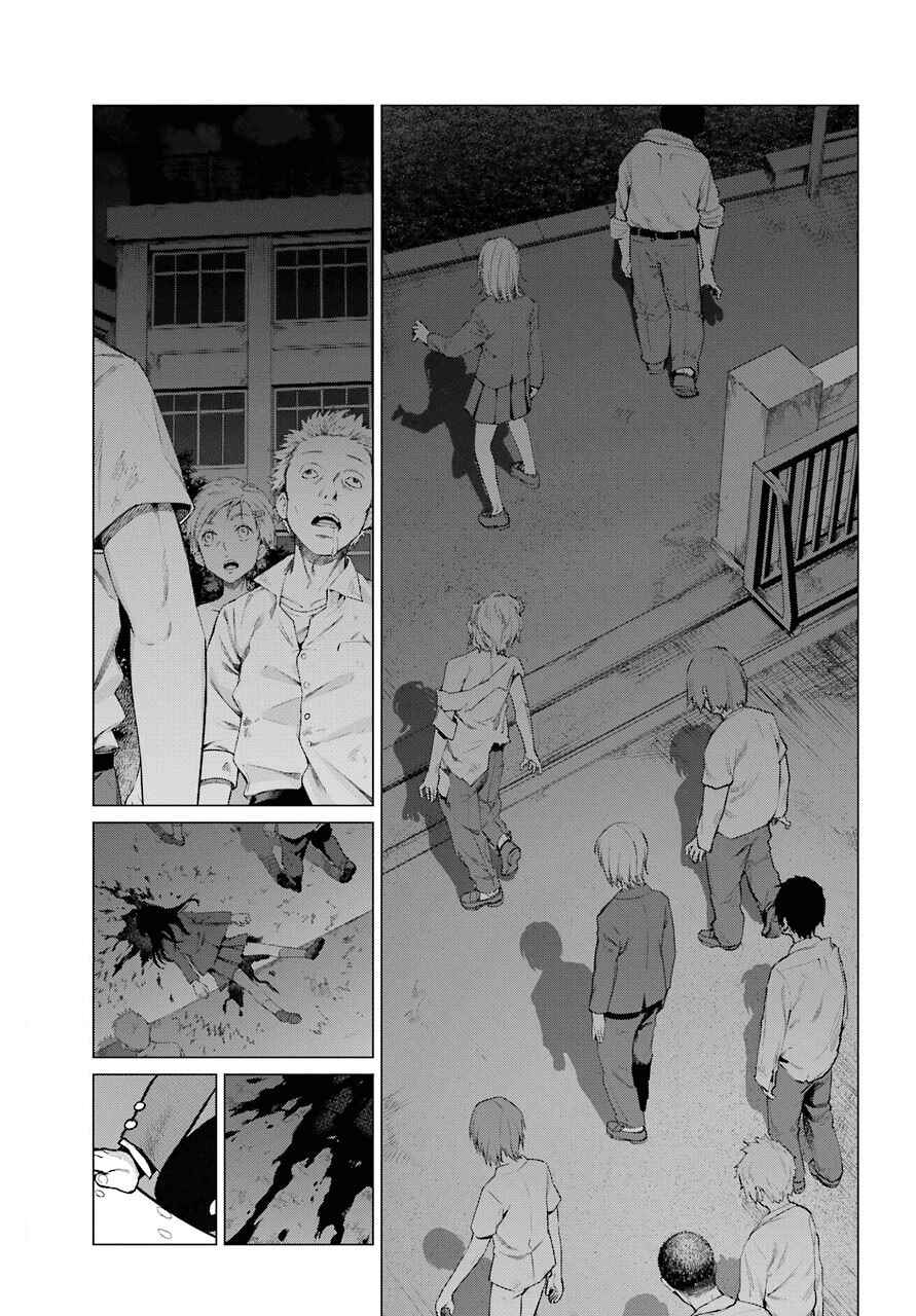 Page 12 Chapter 3 Blattodea