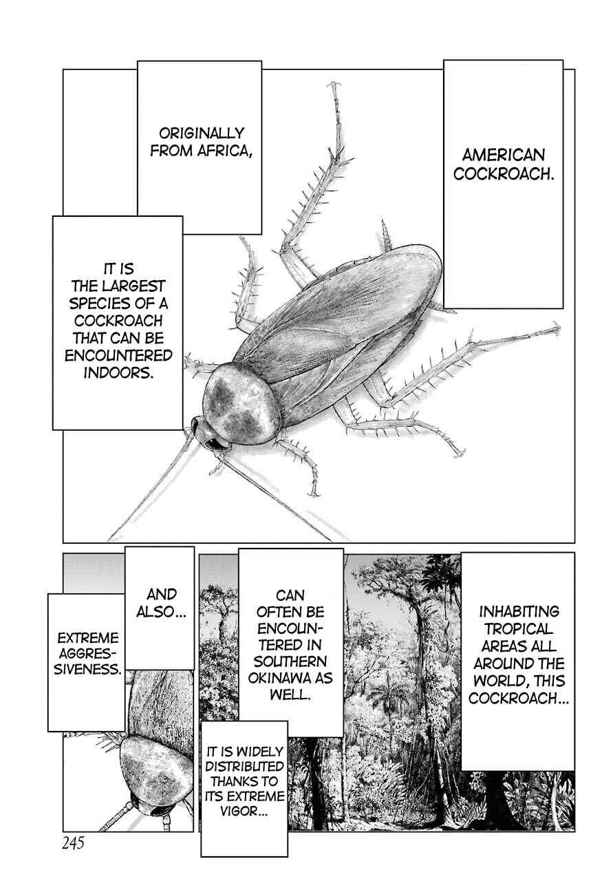 Page 15 Chapter 2 Blattodea