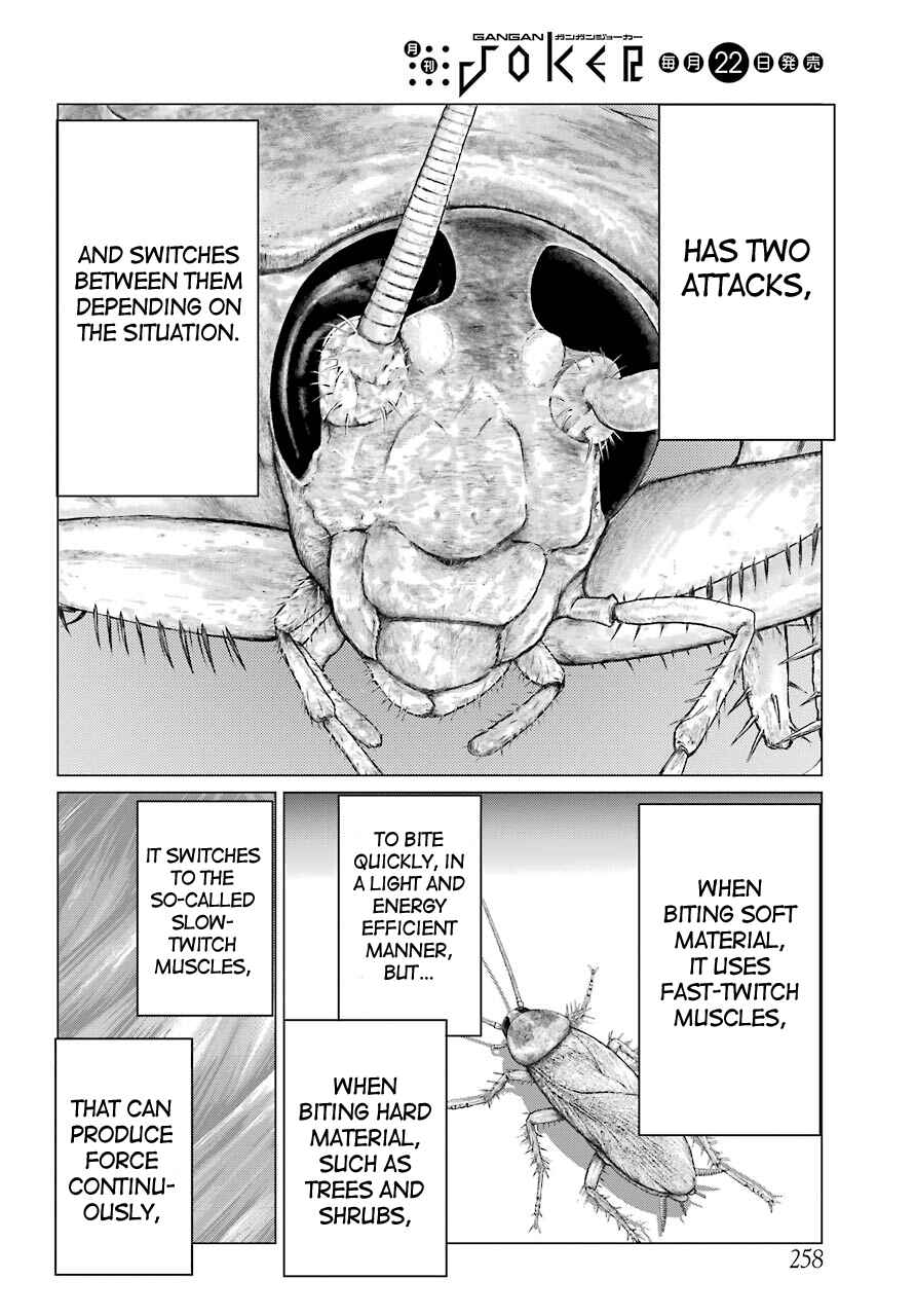 Page 27 Chapter 2 Blattodea