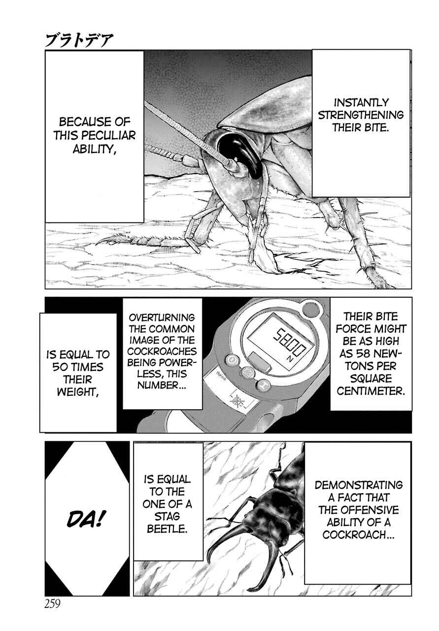 Page 28 Chapter 2 Blattodea