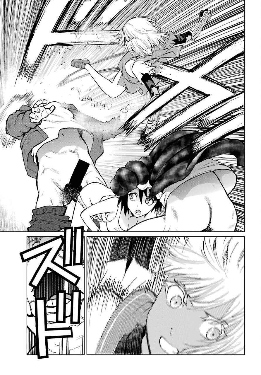 Page 24 Chapter 4 Blattodea