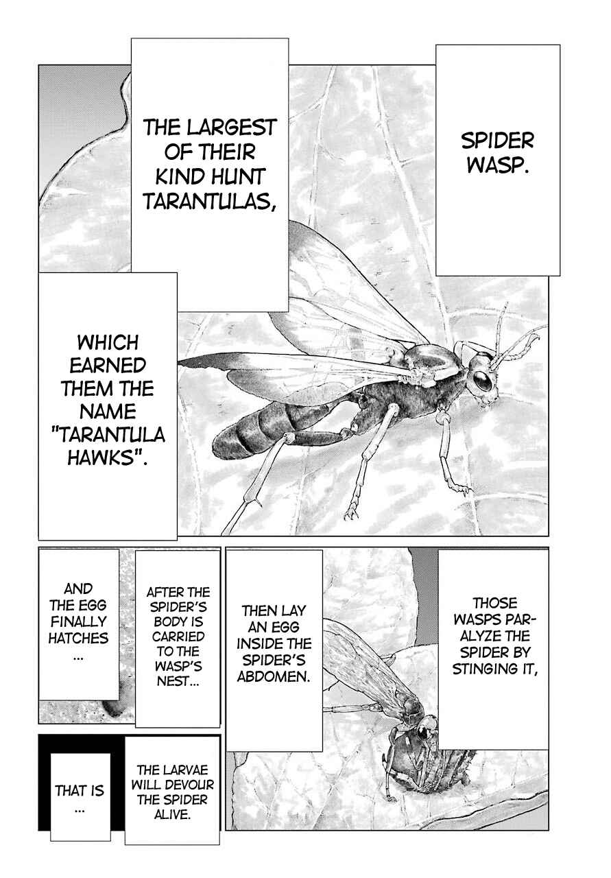 Page 19 Chapter 10 Blattodea
