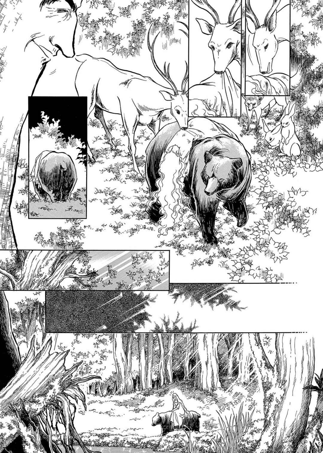 Page 18 Chapter 11 The Ring of the Nibelung