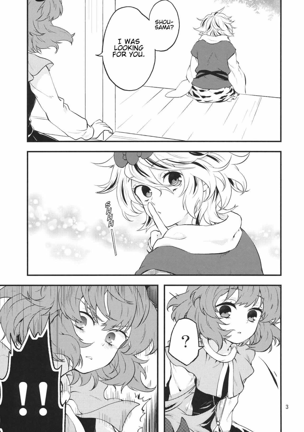 Page 2 Chapter Unknown_2ab3 Touhou - Tora to Neko (Doujinshi)
