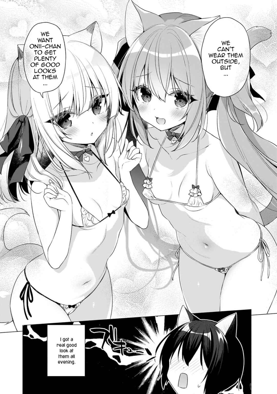 Page 5 Chapter 11.1 Boku no Risou no Isekai Seikatsu - Tensei shitara Kemomimi Musume darake no Sekai de Harem ni