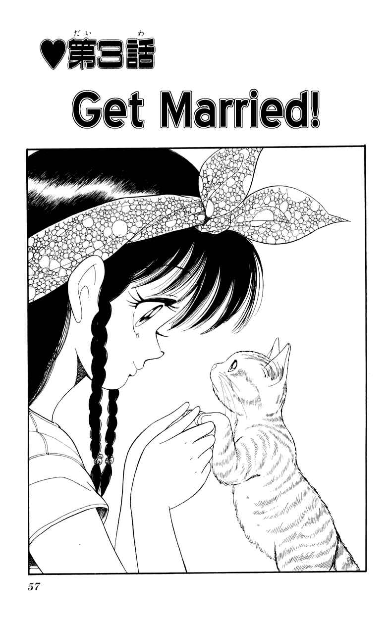 Page 1 Chapter 17 Human Cat Family