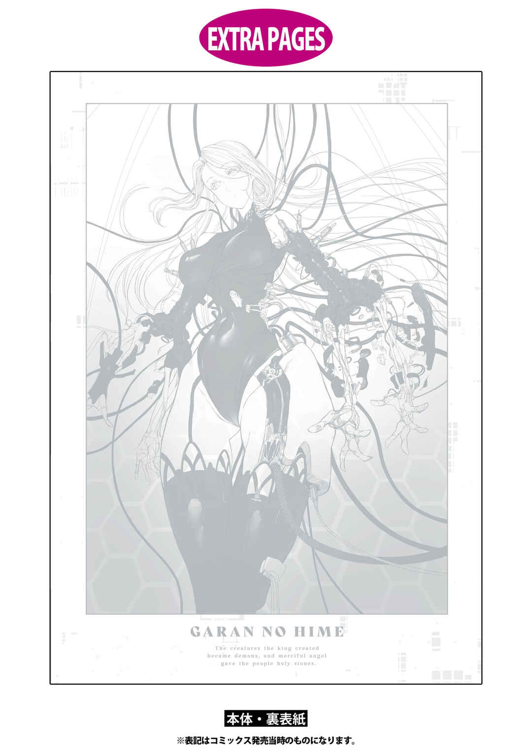 Page 7 Chapter 5.5 Garan no Hime
